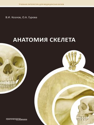 cover image of Анатомия скелета
